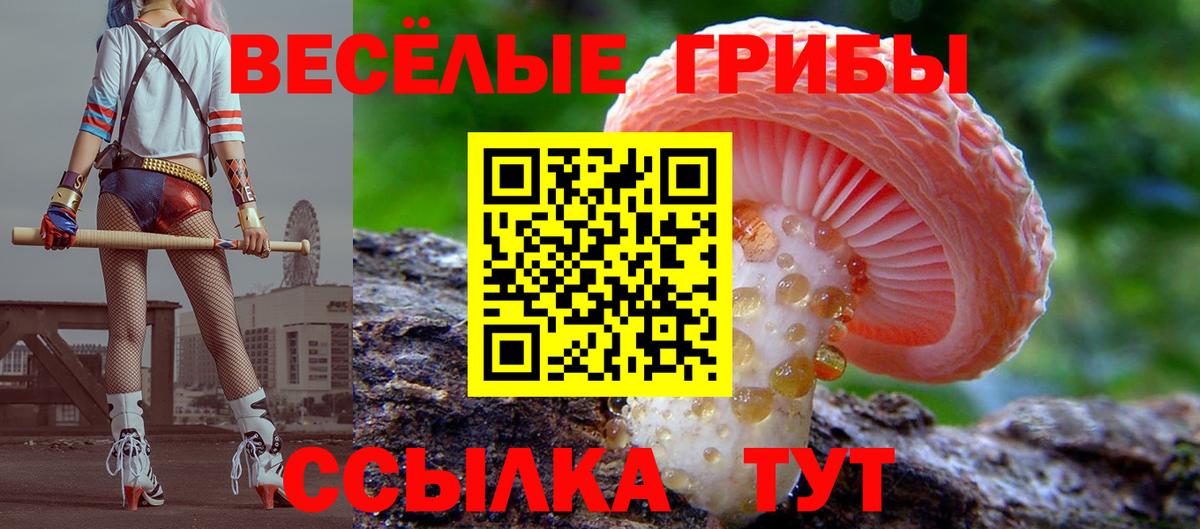 Псилоцибиновые грибы мицелий  Вход с VPN  Галлюциногенные грибы прущие грибы  где найти   Апатиты 